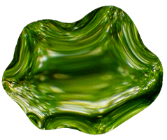 algae